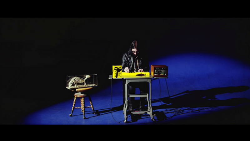 Jack Lawrence Critter & Guitari BLUE ROOM SPOTLIGHT SERIES