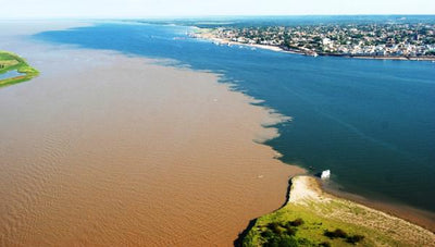 Vault #23 Manaus Photo Contest Winner