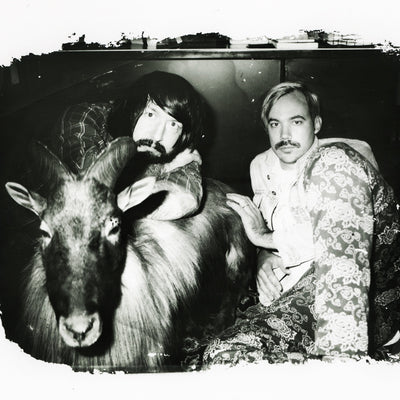 DFA1979 Photos