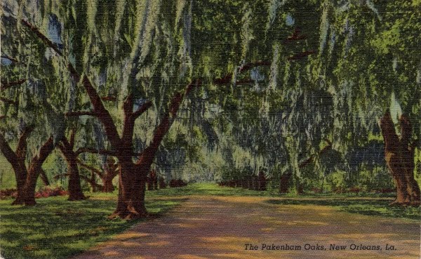 Early Entry for New Orleans Show