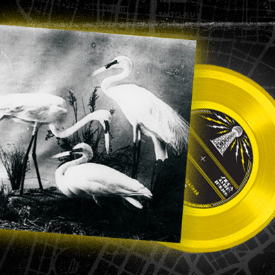 New Dead Weather Clips
