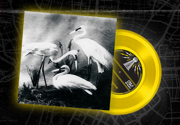 New Dead Weather Clips