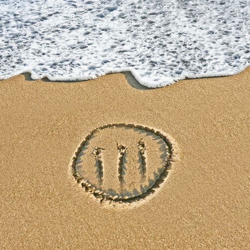 END OF SUMMER BUMMER BUNDLE