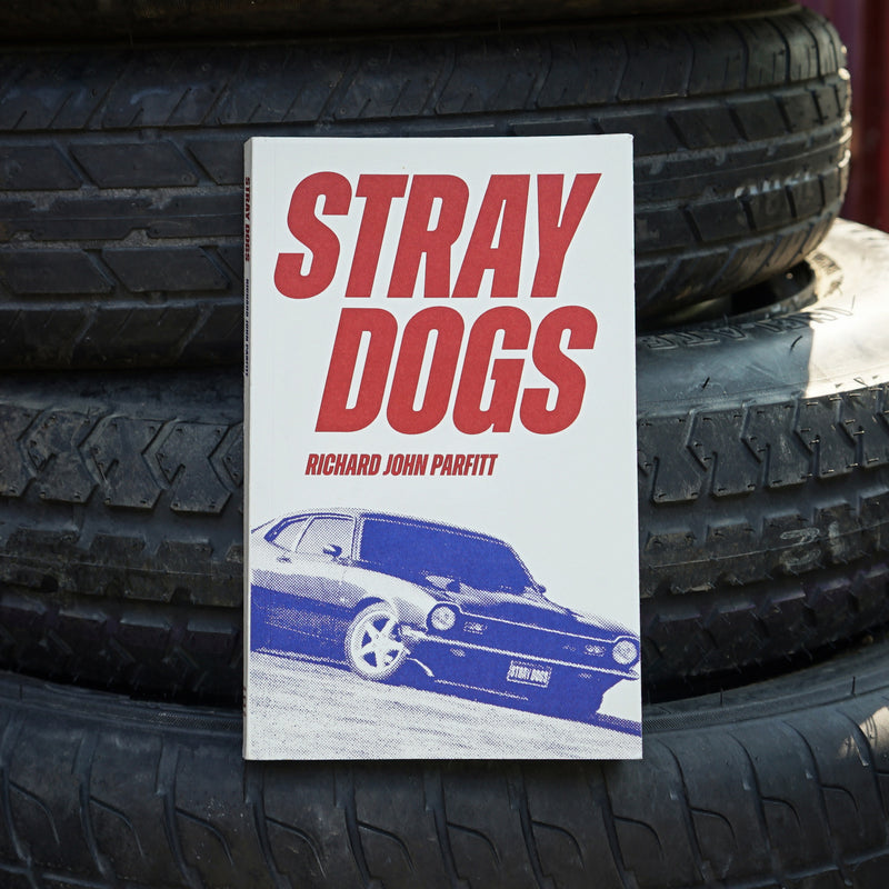 THIRD MAN BOOKS IS EXCITED TO PUBLISH RICHARD JOHN PARFITT’S DEBUT NOVEL STRAY DOGS
