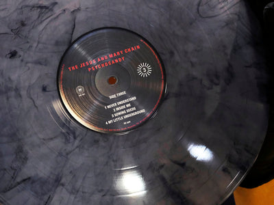 Vault 65 Now Shipping