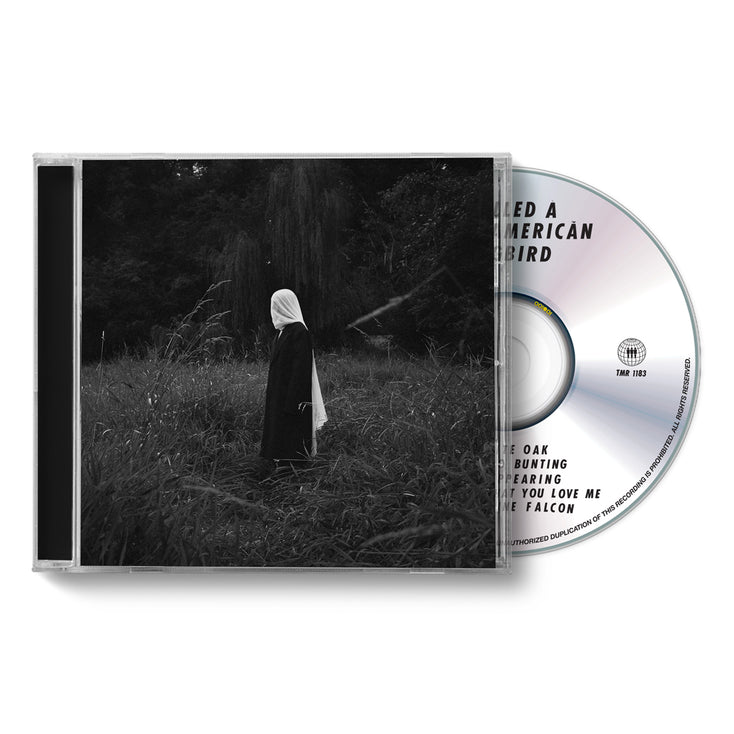 I Killed A North American Songbird EP