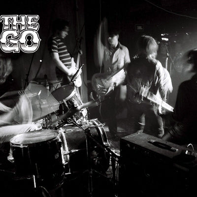 Vault 41 The Go Photo Book