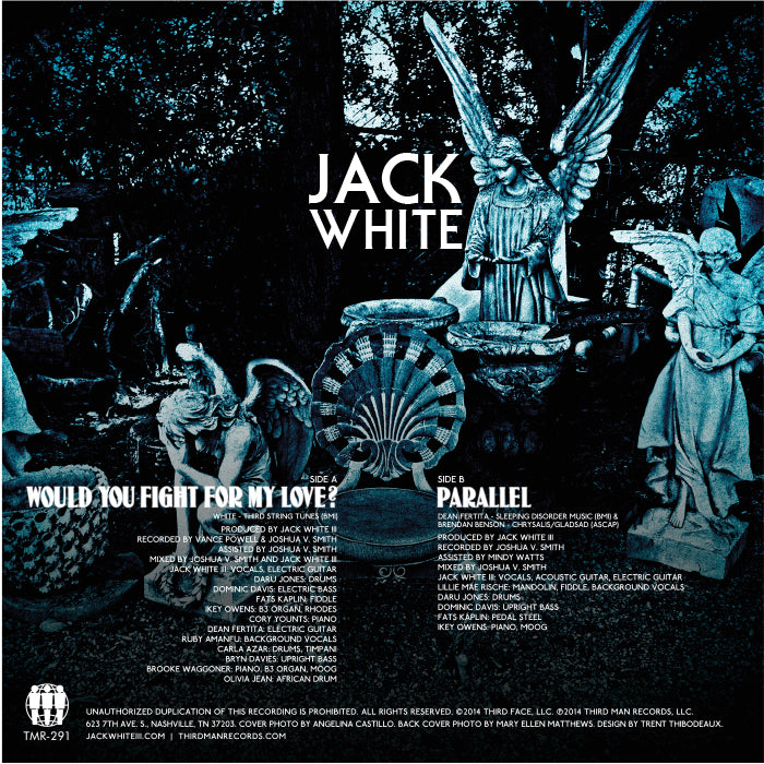 Would You Fight For My Love?